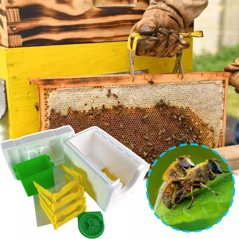 QHUDLV Mini Beehive Beekeeping Box Multi-Function Bee Hive Pollination