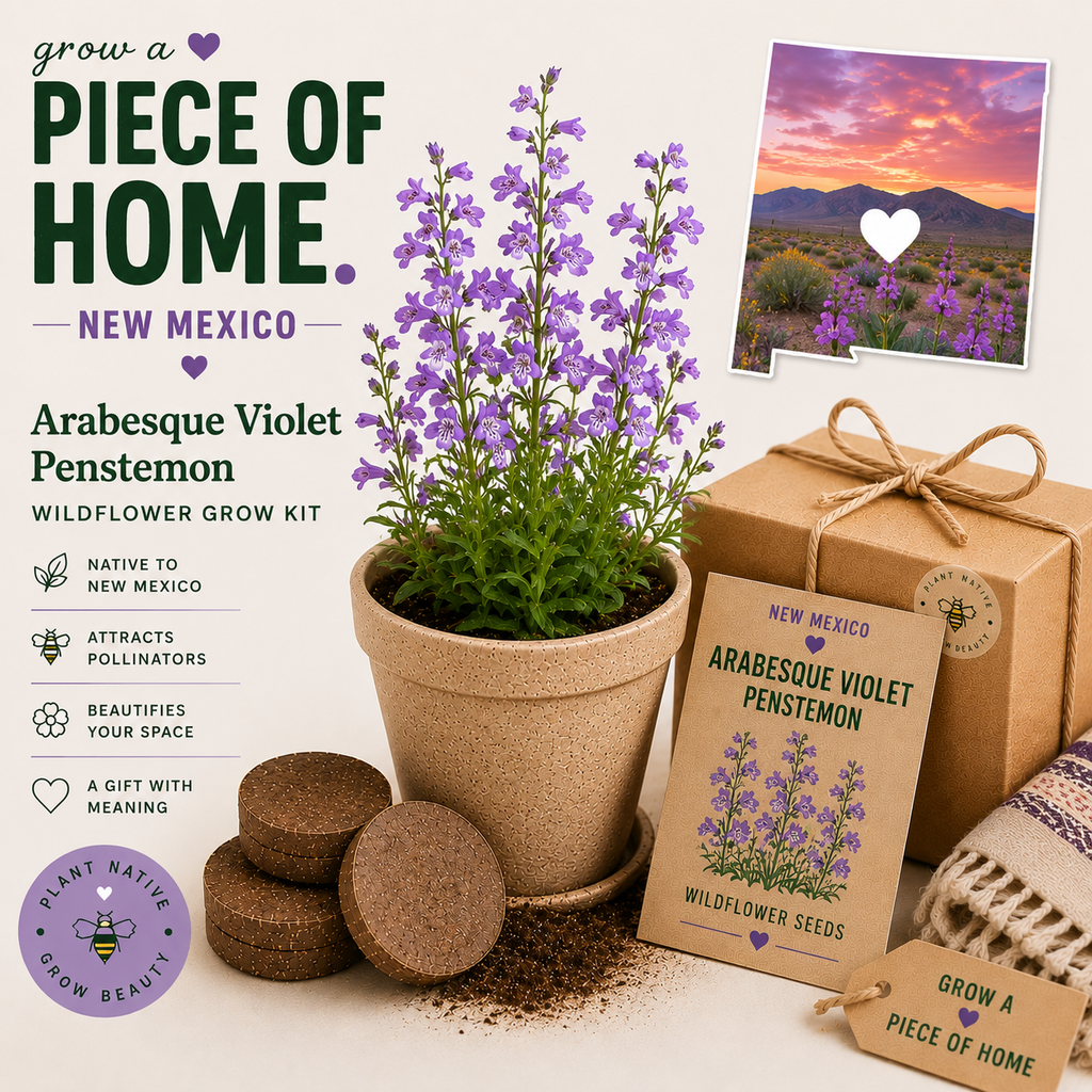 New Mexico Arabesque Violet Penstemon Wildflower Grow Kit