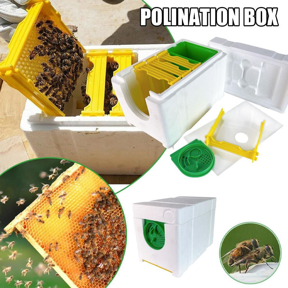 QHUDLV Mini Beehive Beekeeping Box Multi-Function Bee Hive Pollination