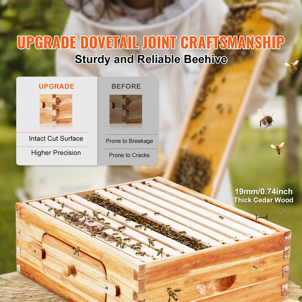 KFFKFF Beekeeping Starter Set, fir Wood Coated with Pure Beeswax, Lang