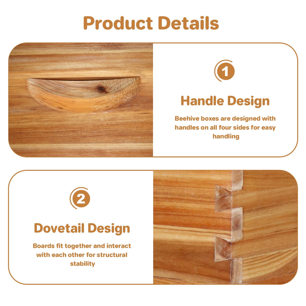 Ultimate Beekeeping Starter Kit with Cedar & Beeswax | Complete 10-Fra