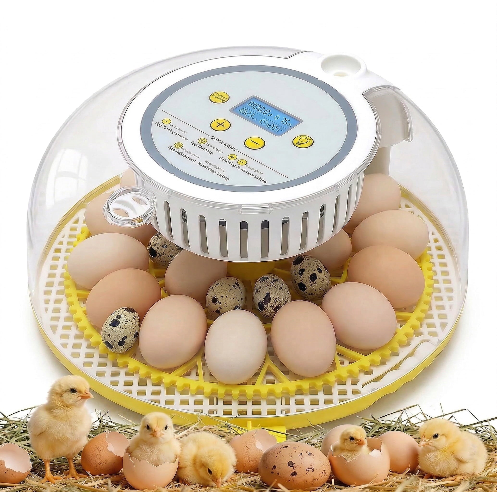 Adnoom Incubators for Hatching Eggs, 18 Egg Incubator with Automatic E