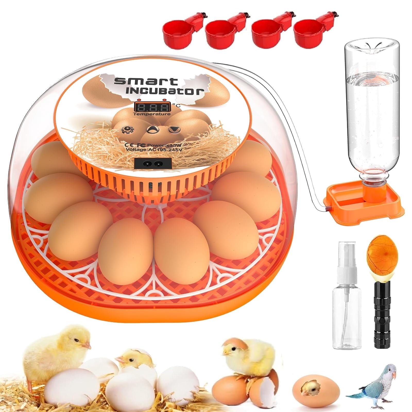 12 Egg Incubator with Automatic Egg Turning and Temperature Control, A