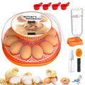 12 Egg Incubator with Automatic Egg Turning and Temperature Control, A