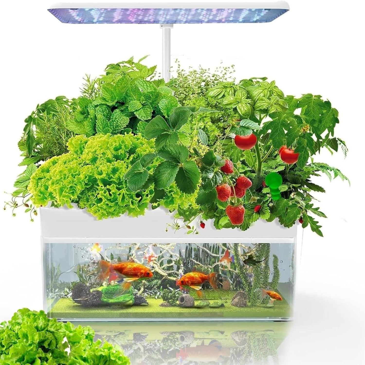12 Pods Hydroponics Growing System with Aquaponic Fish Tank LED Grow L