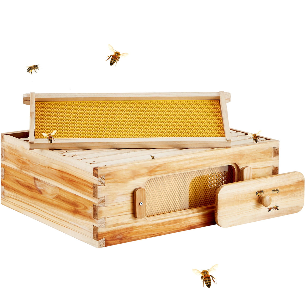 KFFKFF Beekeeping Starter Set, fir Wood Coated with Pure Beeswax, Lang