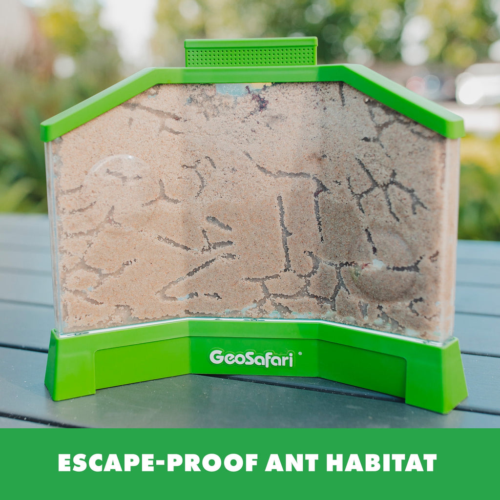 Educational Insights GeoSafari Ant Factory, Ant Farm Habitat, STEM Kit