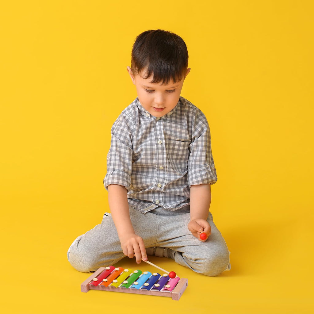 Xylophone for Toddlers 1-3 Kids Musical Instruments for Toddlers 1-3 B