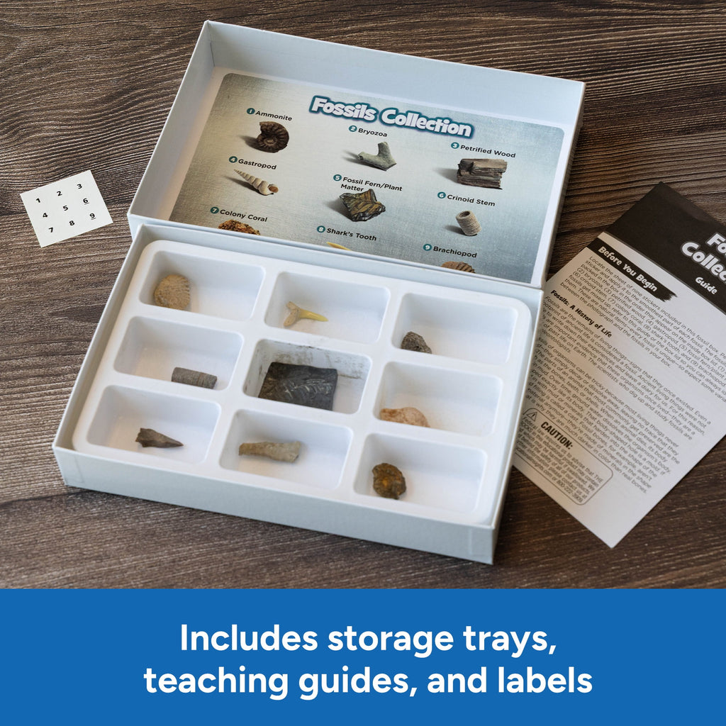 Educational Insights Complete Rock, Mineral, and Fossil Collection, ST