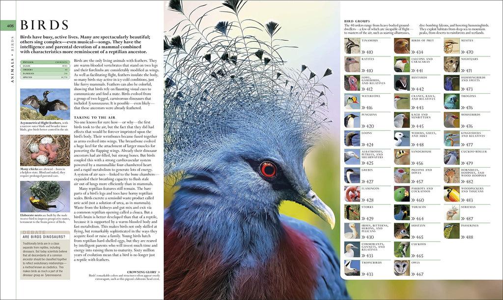 DK Definitive Visual Encyclopedias Natural History, (Hardcover)