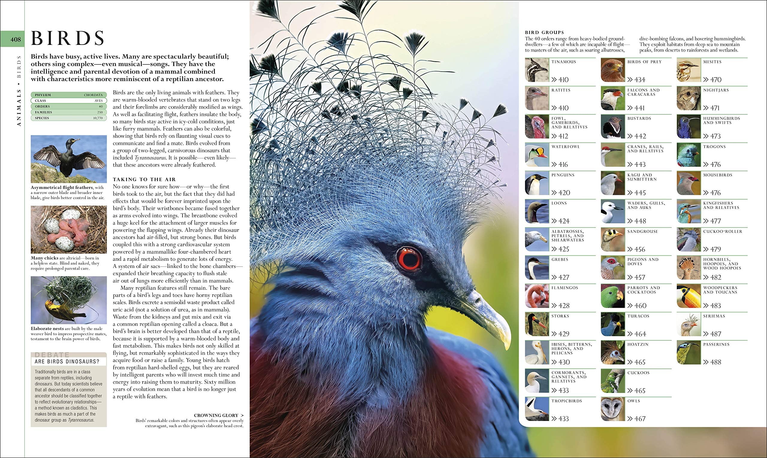 DK Definitive Visual Encyclopedias Natural History, (Hardcover)