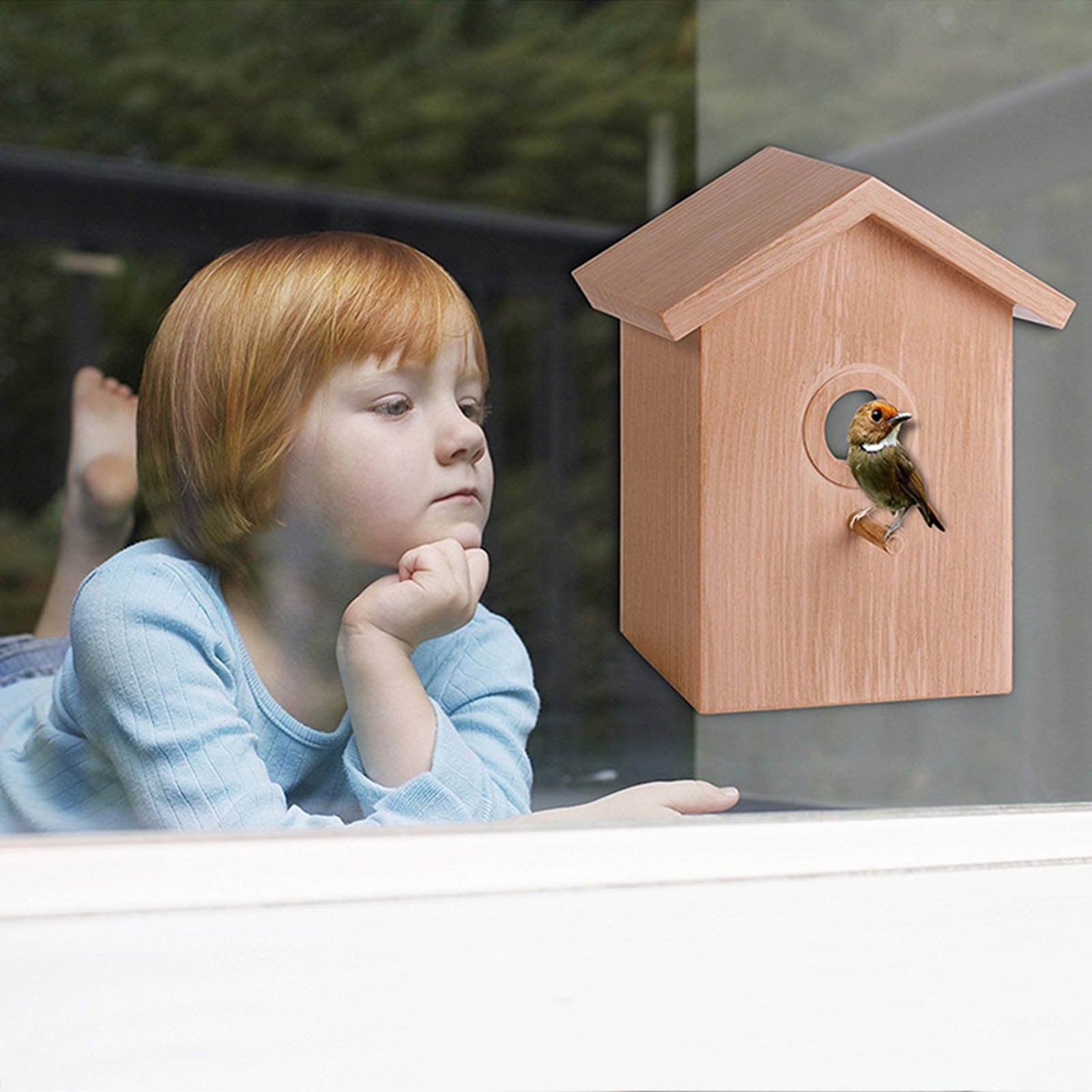 Window Birdhouse Paint Kit, DIY Clear Bird House With Suction Cups, Wo