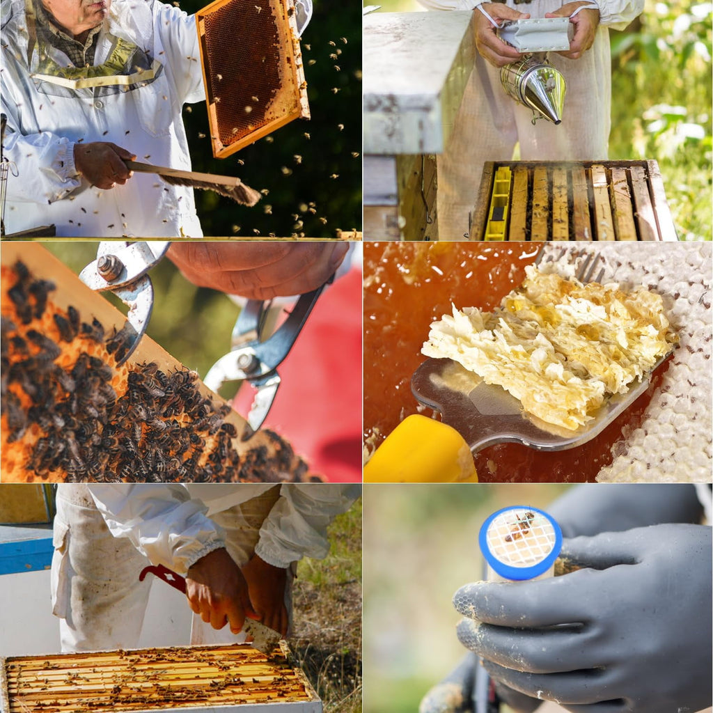 12pcs Bee Hives Starter Kit Beekeeping Supplies, Bee Keeping Supplies-