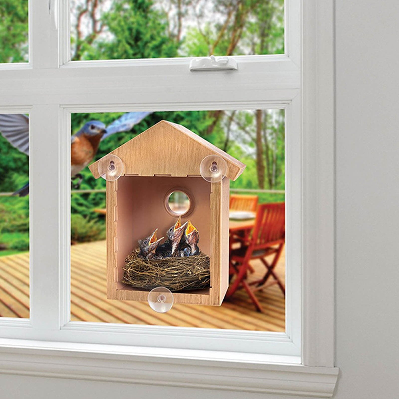 Window Birdhouse Paint Kit, DIY Clear Bird House With Suction Cups, Wo