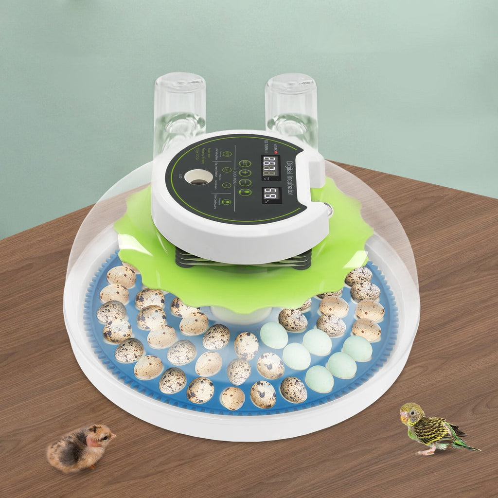 ToppiJoy 60 Quail Egg Incubator with LED Display & LED Light, 50-104°