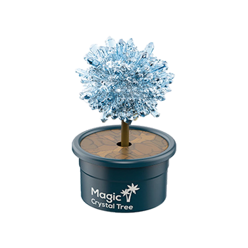 DIY Growing Kit Grow Trees in 24 Hours Educational Craft Kit with 1 co