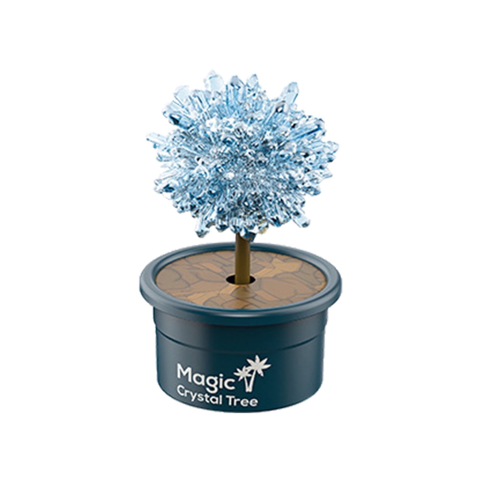 DIY Growing Kit Grow Trees in 24 Hours Educational Craft Kit with 1 co