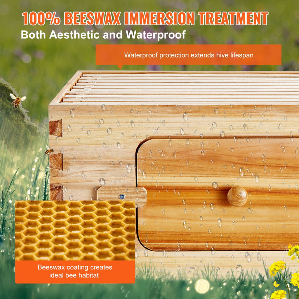 KFFKFF Beekeeping Starter Set, fir Wood Coated with Pure Beeswax, Lang