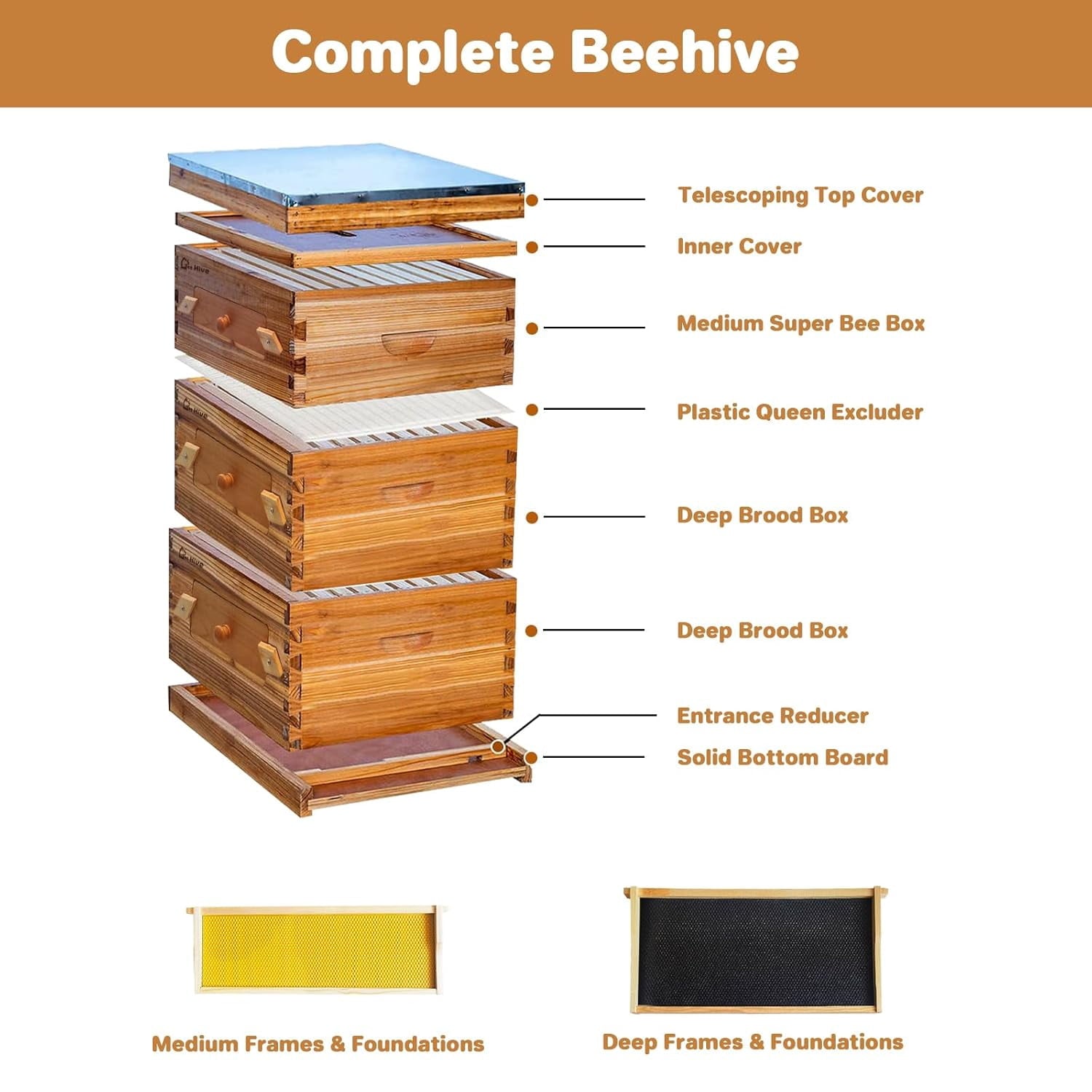 10-Frame Langstroth Beehive Starter Kit, Wax-Coated Complete Beehive K