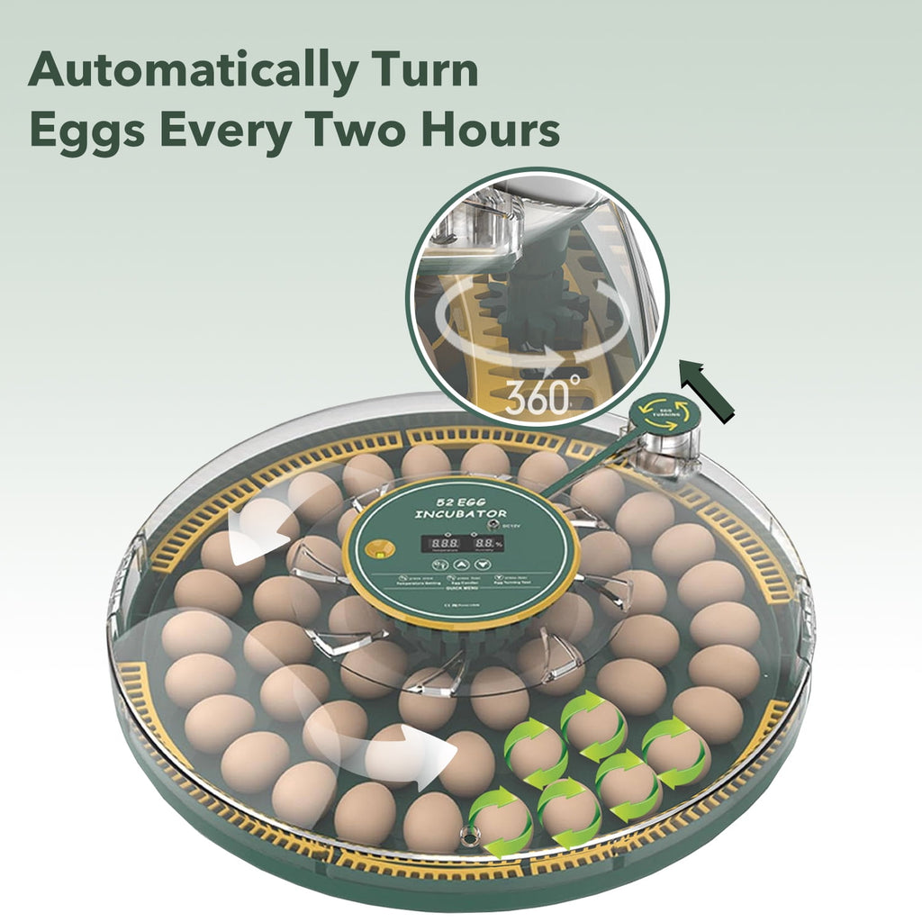 BN-LINK 52 Egg Incubator with Automatic Egg Turning and Temperature Co