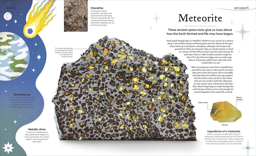 DK Treasures Nature's Treasures: Tales of More Than 100 Extraordinary