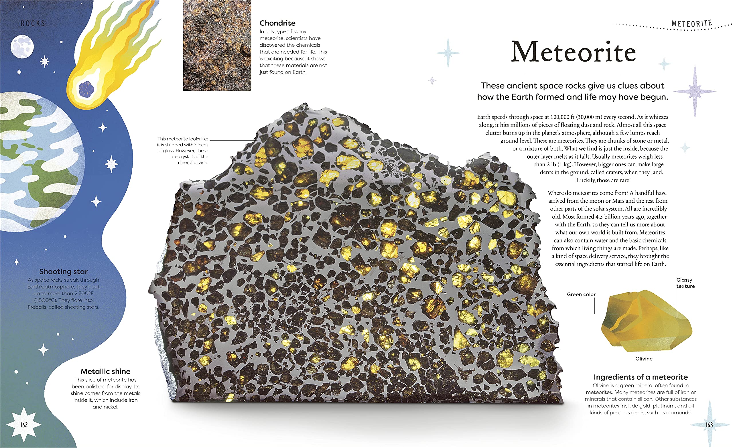 DK Treasures Nature's Treasures: Tales of More Than 100 Extraordinary