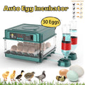 30 Egg Incubator with Automatic Egg Turning and Humidity Temperature C