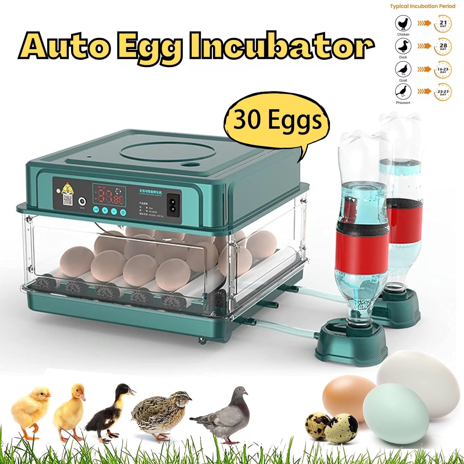 30 Egg Incubator with Automatic Egg Turning and Humidity Temperature C