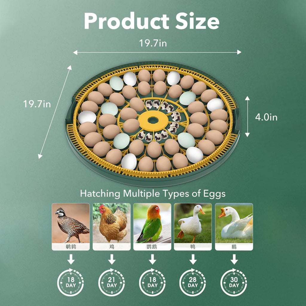 BN-LINK 52 Egg Incubator with Automatic Egg Turning and Temperature Co