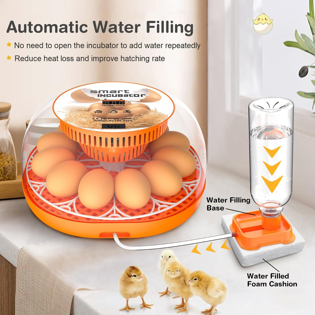 12 Egg Incubator with Automatic Egg Turning and Temperature Control, A