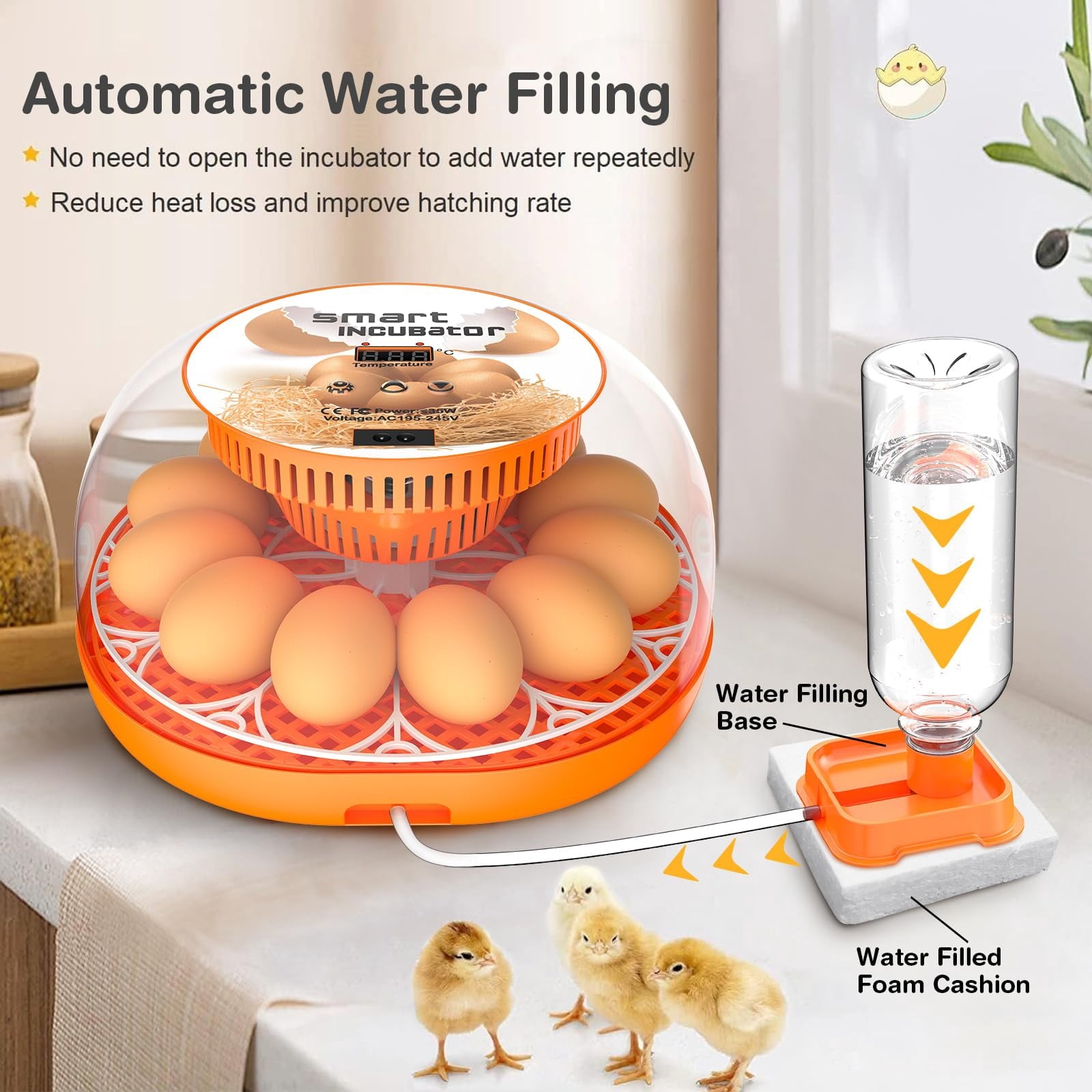 12 Egg Incubator with Automatic Egg Turning and Temperature Control, A