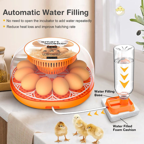 12 Egg Incubator with Automatic Egg Turning and Temperature Control, A