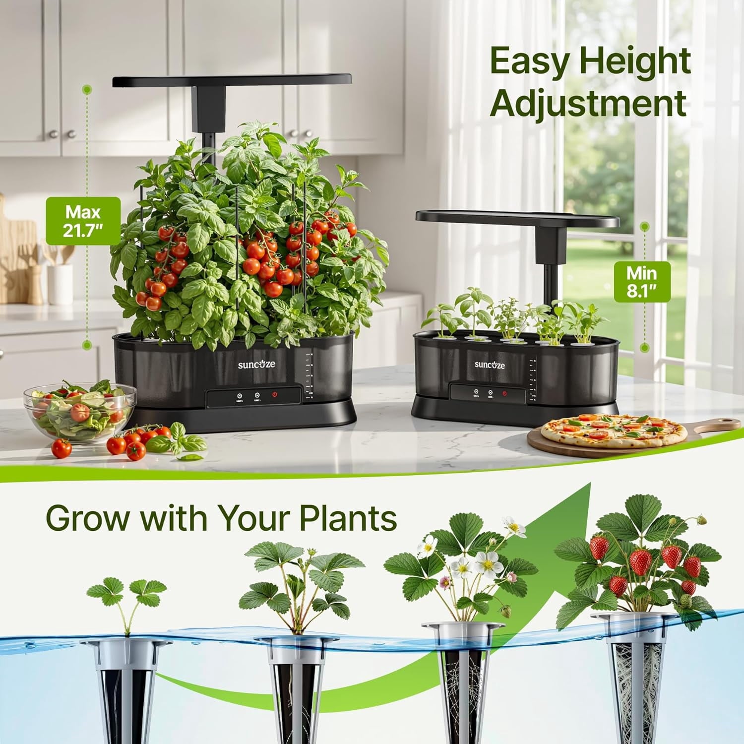 SUNCOZE Hydroponics Growing System with Removable Tank, 12 Pod Indoor