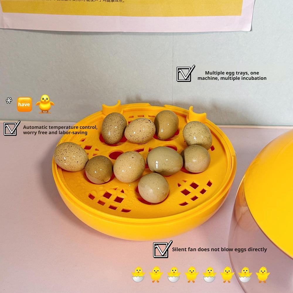 Egg Incubator for Hatching Eggs,Automatic Egg Incubator with Temperatu