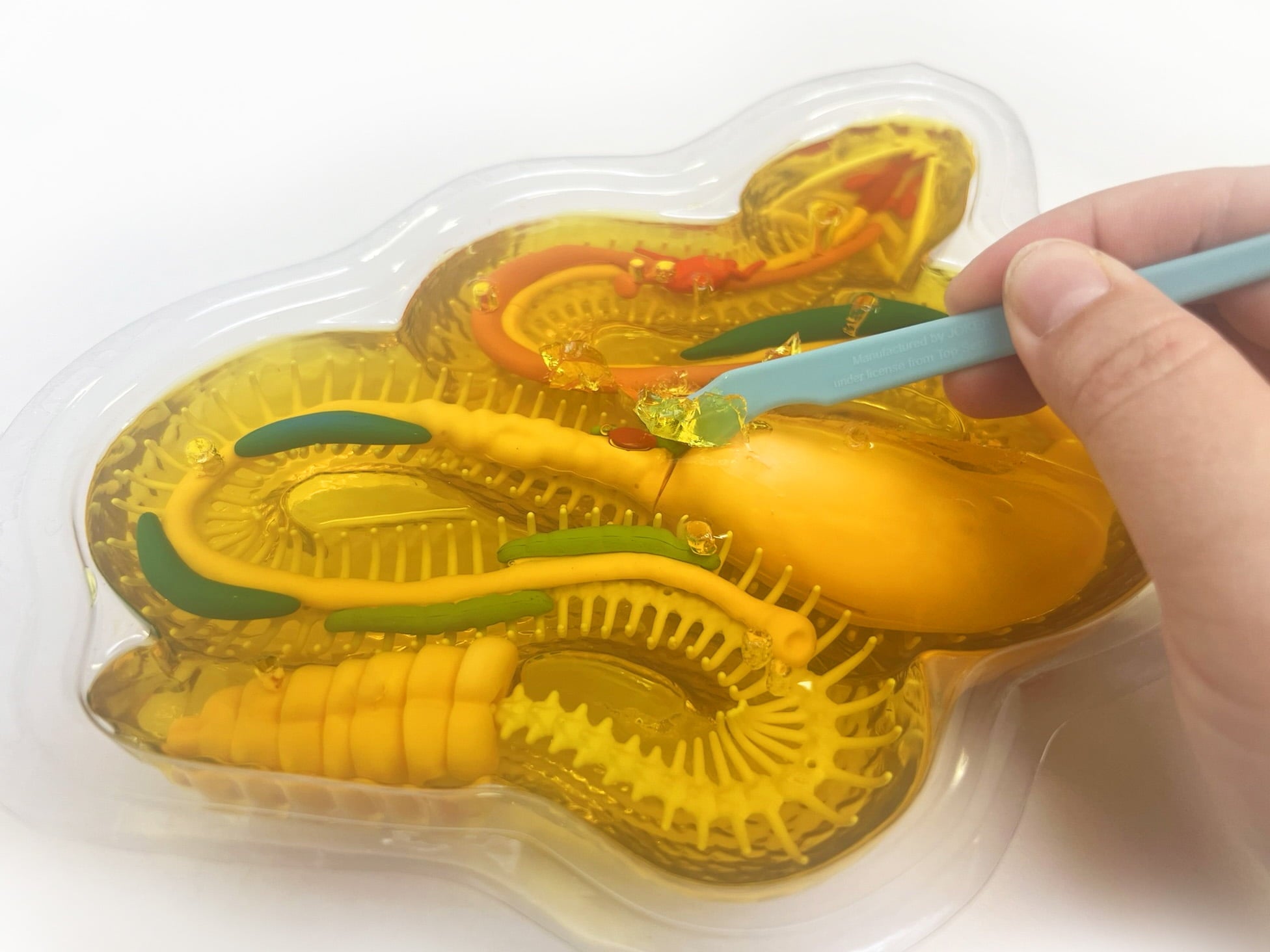 Dissect It Rattlesnake Superlab Dissection Kit for Kids, Realistic Ana