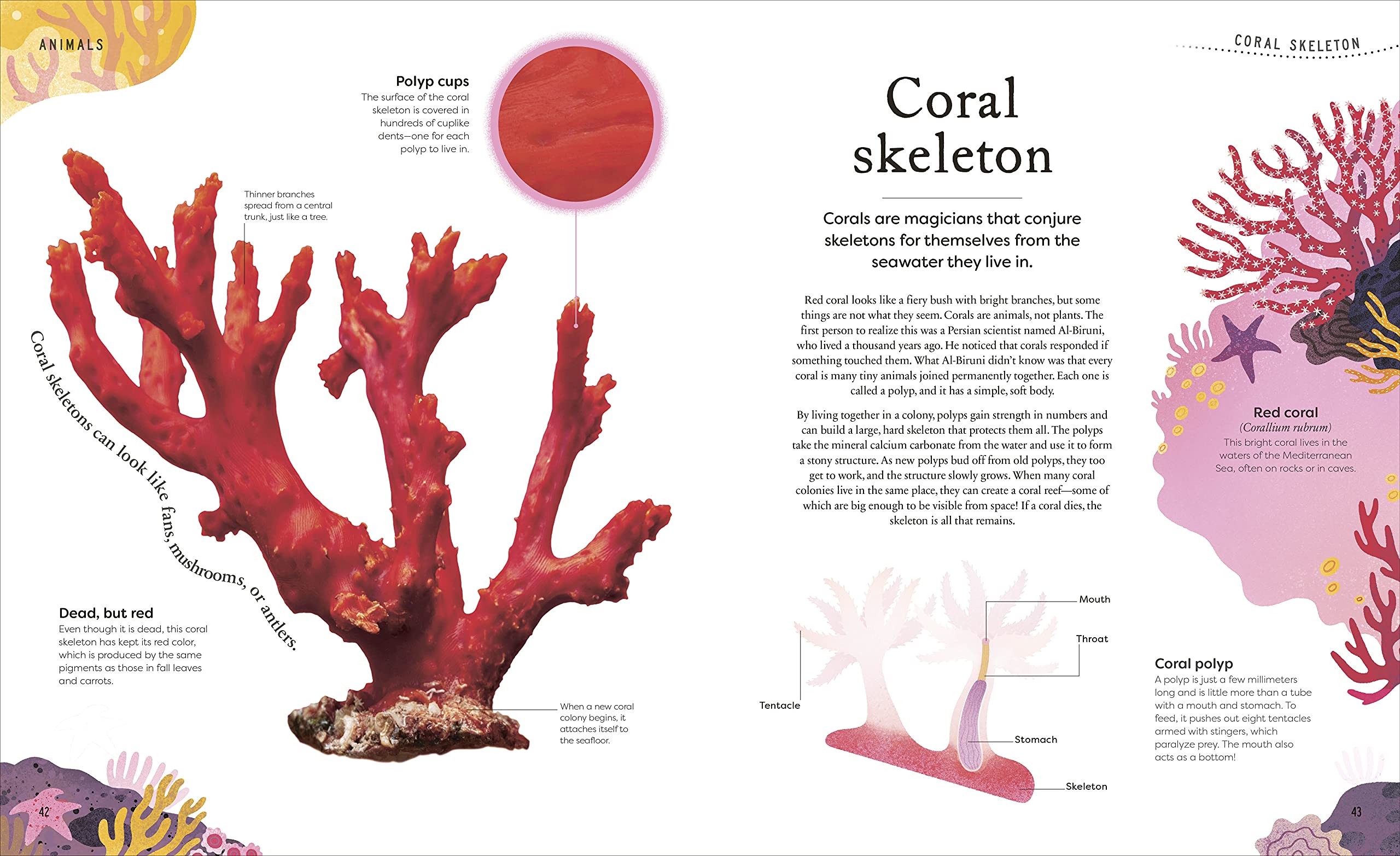DK Treasures Nature's Treasures: Tales of More Than 100 Extraordinary