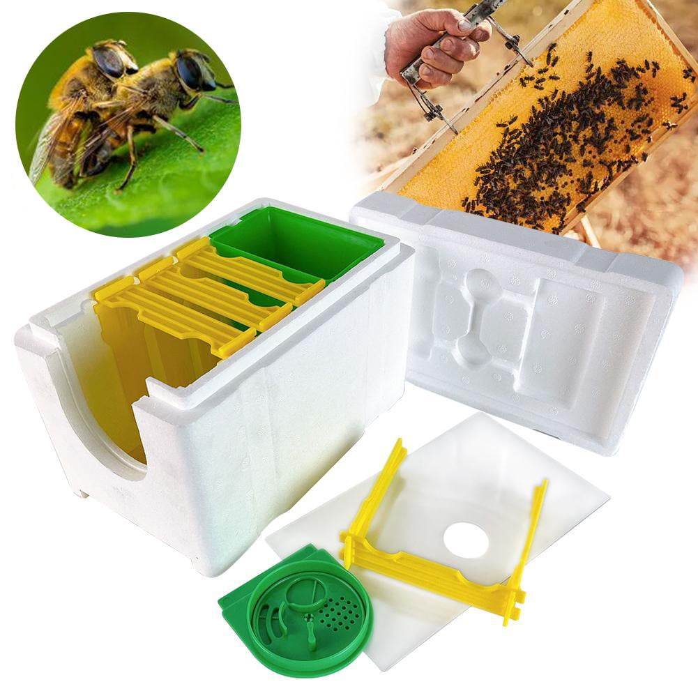QHUDLV Mini Beehive Beekeeping Box Multi-Function Bee Hive Pollination