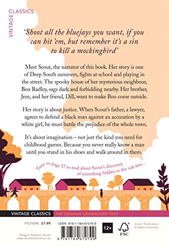 To Kill a Mockingbird Harper Lee (Paperback)