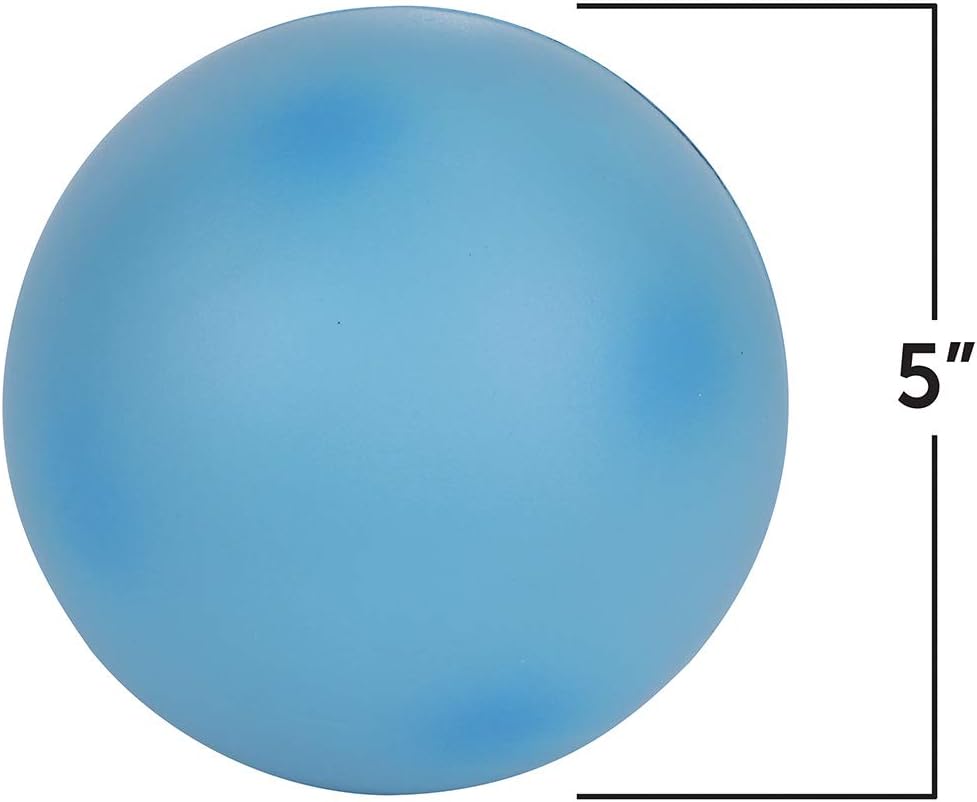 Learning Resources: Cross-Section Animal Cell Model — Soft Foam Biology Teaching Aid (Ages 4+)