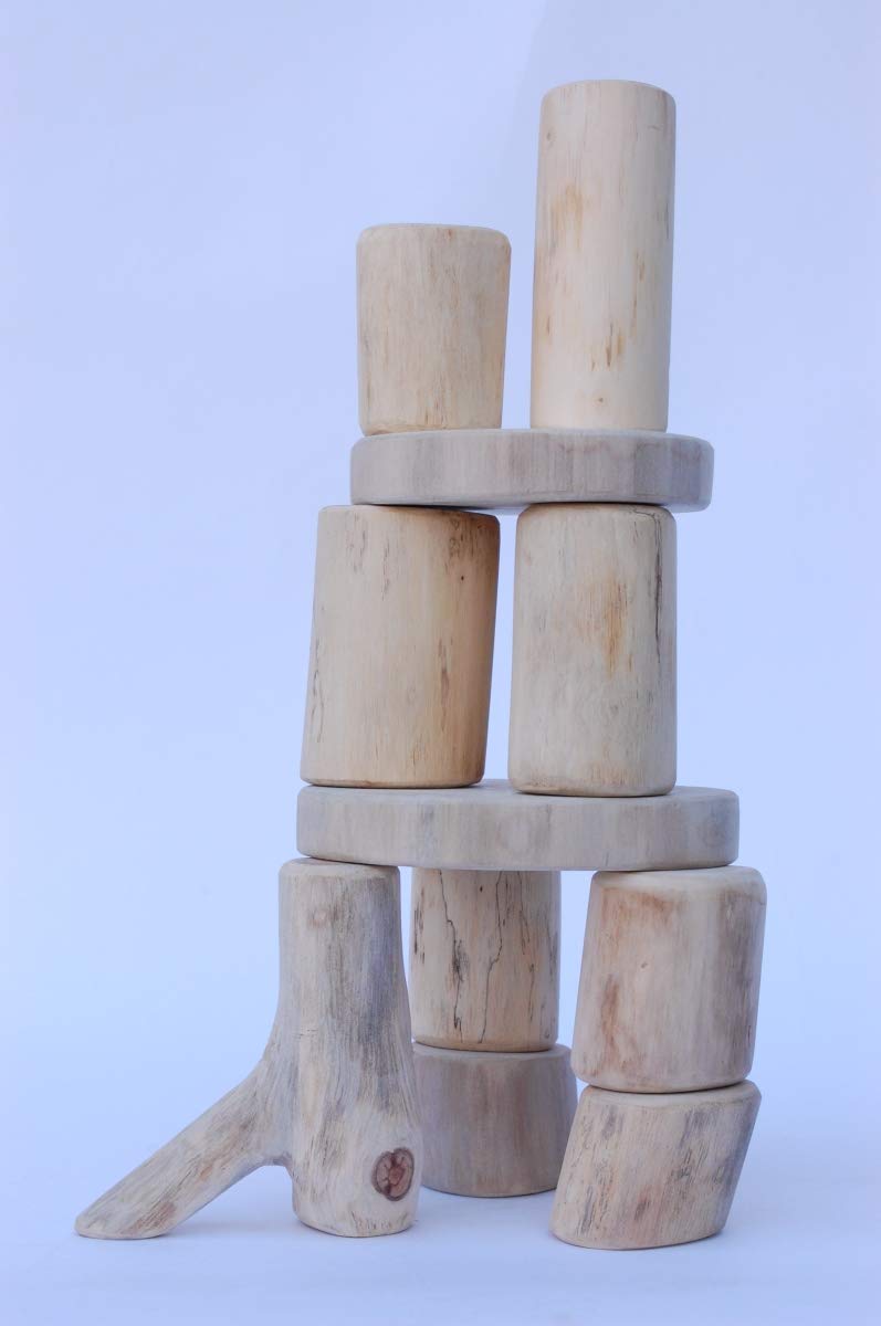 Constructive Playthings: Tree Stacking Blocks, 12 Pieces (Early Learning)