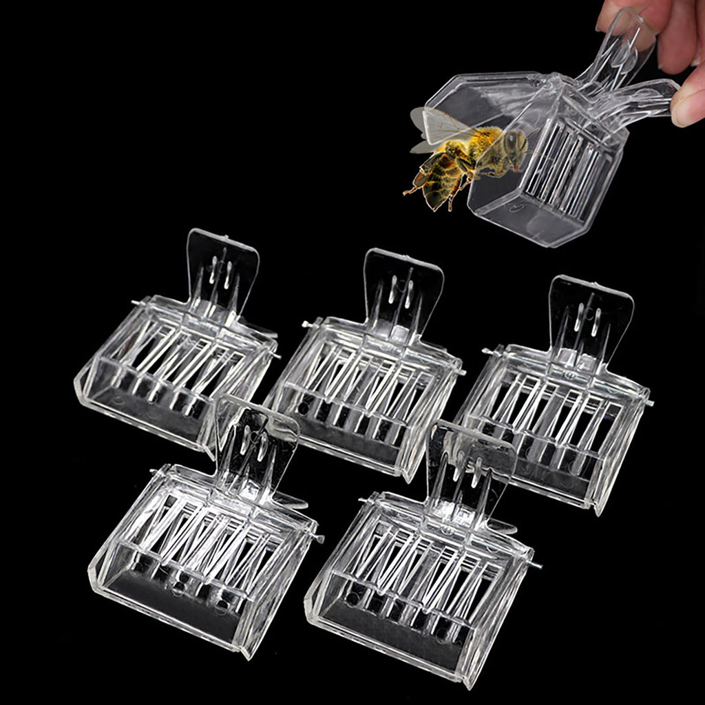 Catcher Cage Beekeeping Tool for Outdoor Indoor Use Book Design Beekee
