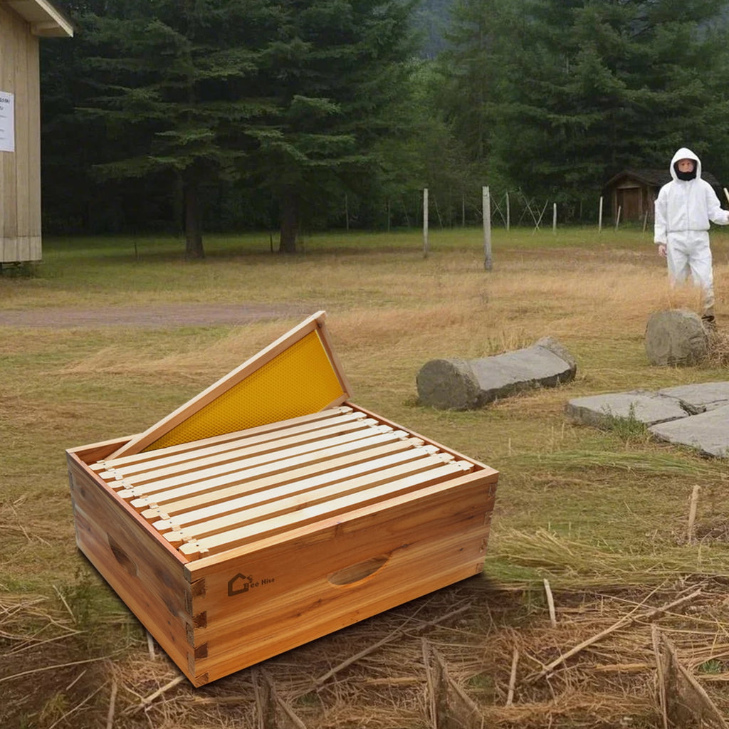 Garderth 10 Frame Beehive,Bee Hive,Weatherproof Cedar Wood Beehive,Pre