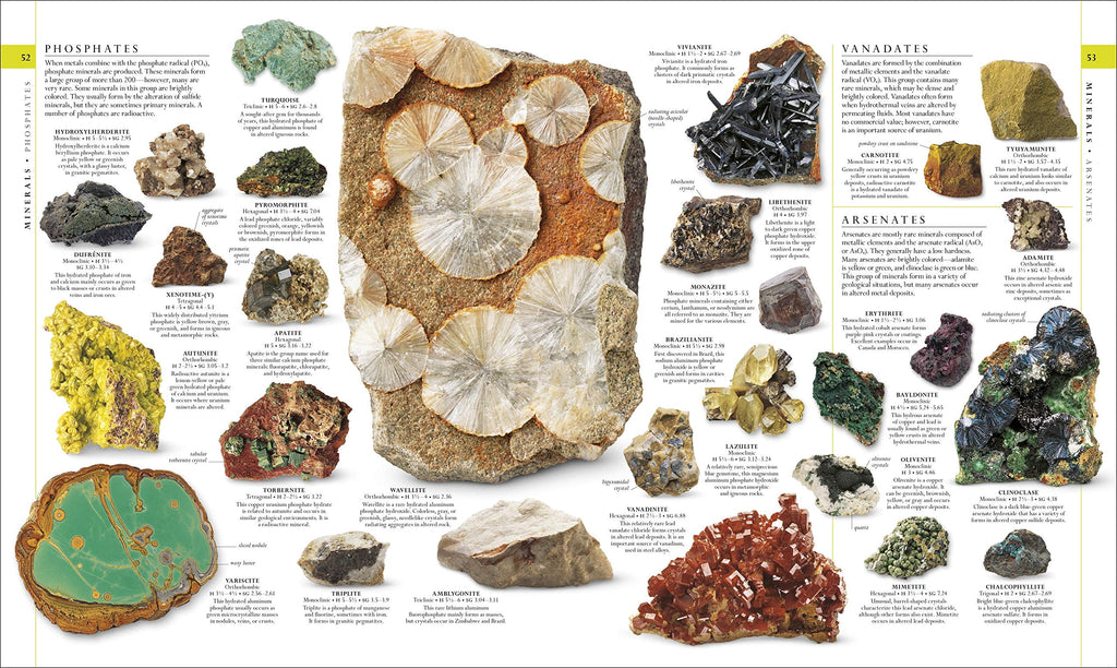 DK Definitive Visual Encyclopedias Natural History, (Hardcover)