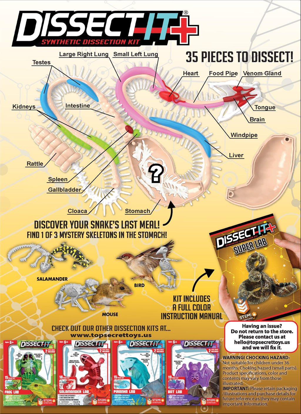 Dissect It Rattlesnake Superlab Dissection Kit for Kids, Realistic Ana