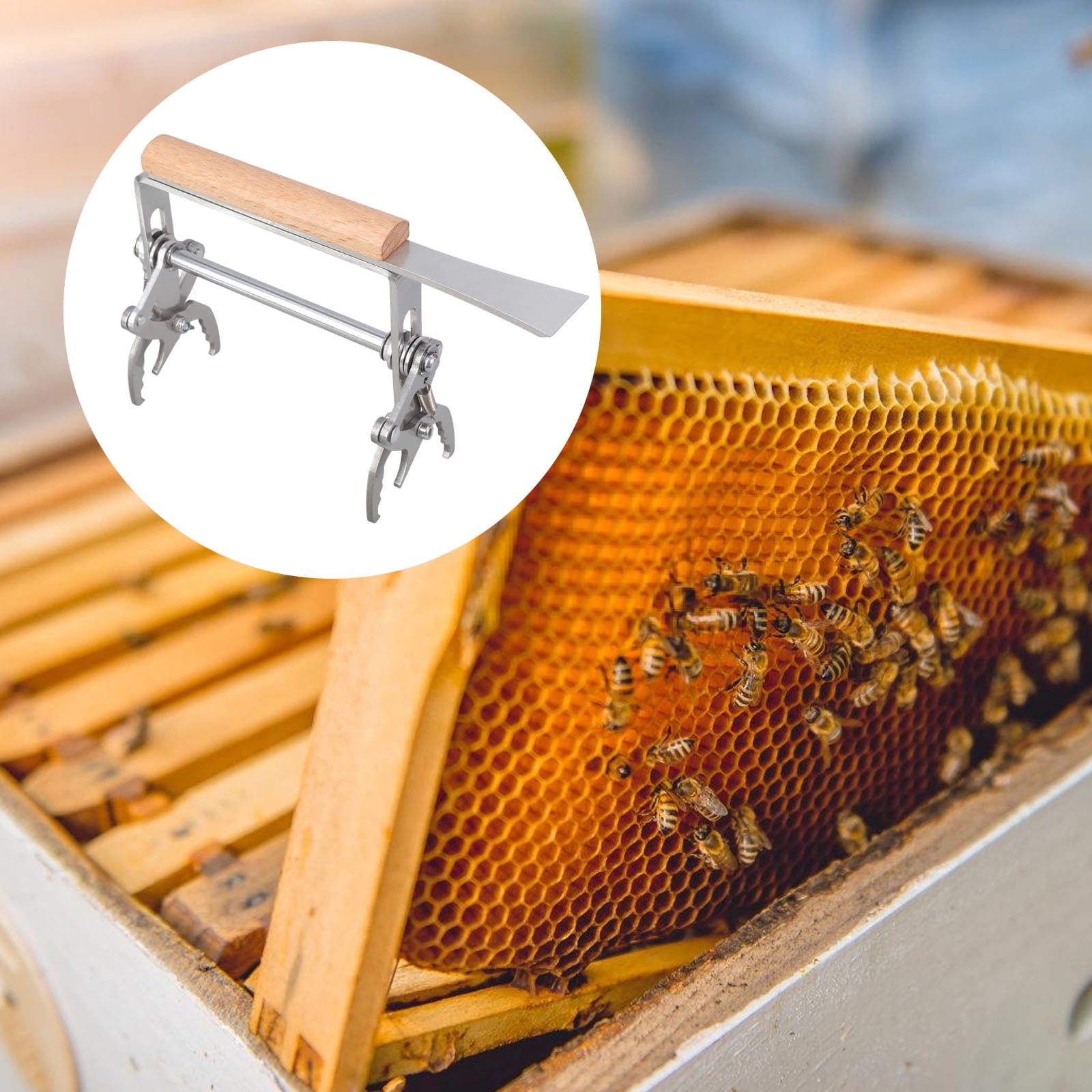 Beekeeping Frame Stainless Steel Bees Frame Holder Lifter Clip Hives F