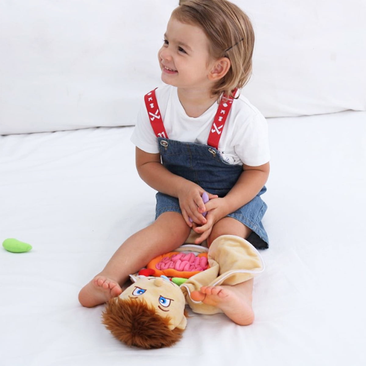Early Education Toys Human Body Anatomy Toy Educational Science Learni
