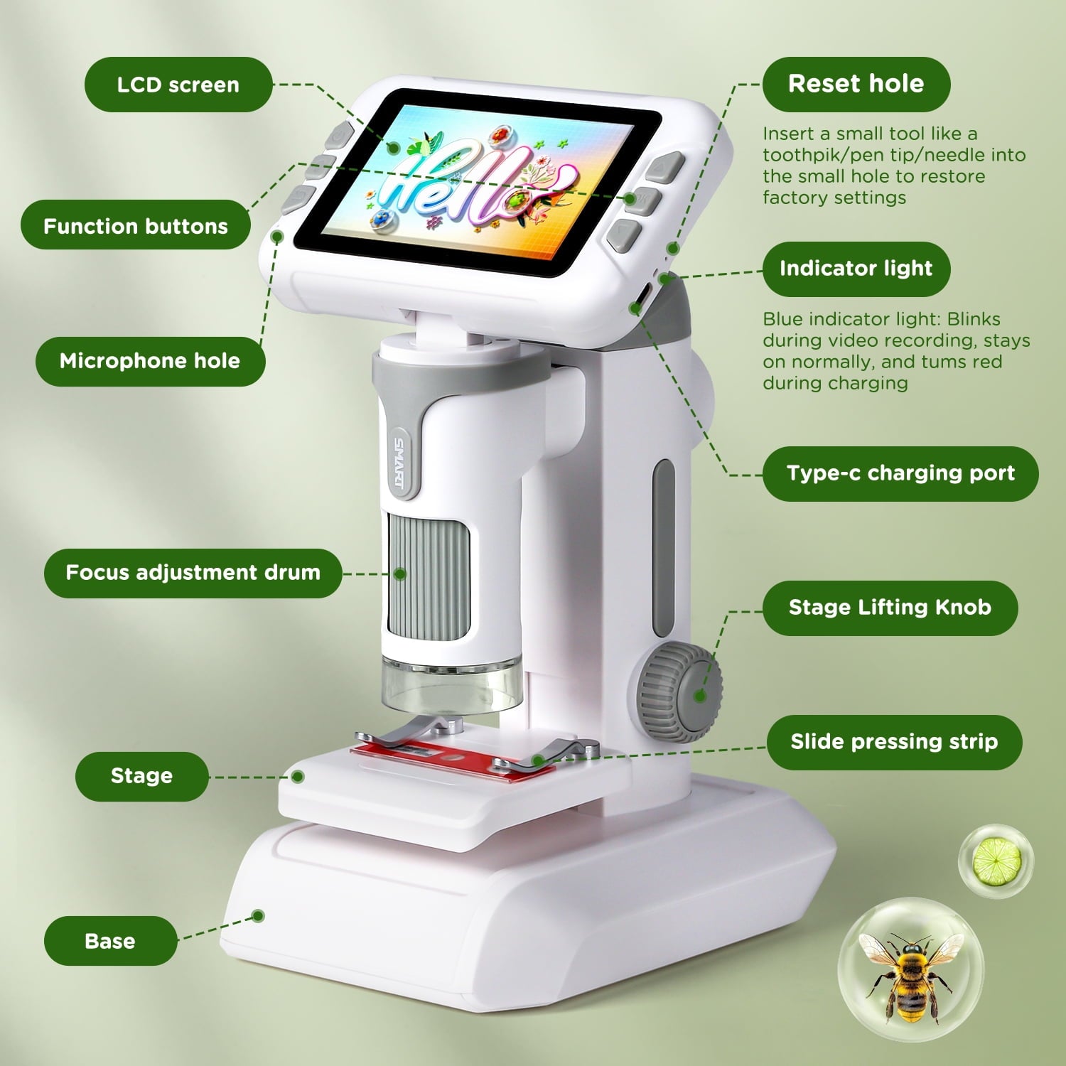 Beefunni Kids Digital Microscope with 4-Inch Screen, STEM Educational