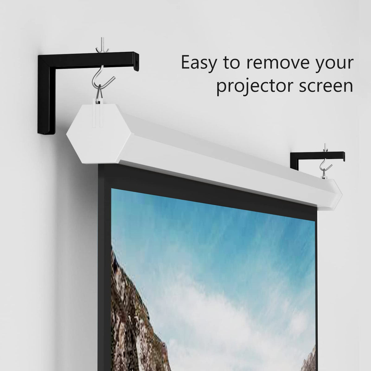 WALI Universal Projector Screen Ceiling Mount, Holds up to 66 lbs