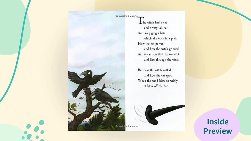Room on the Broom (Paperback)
