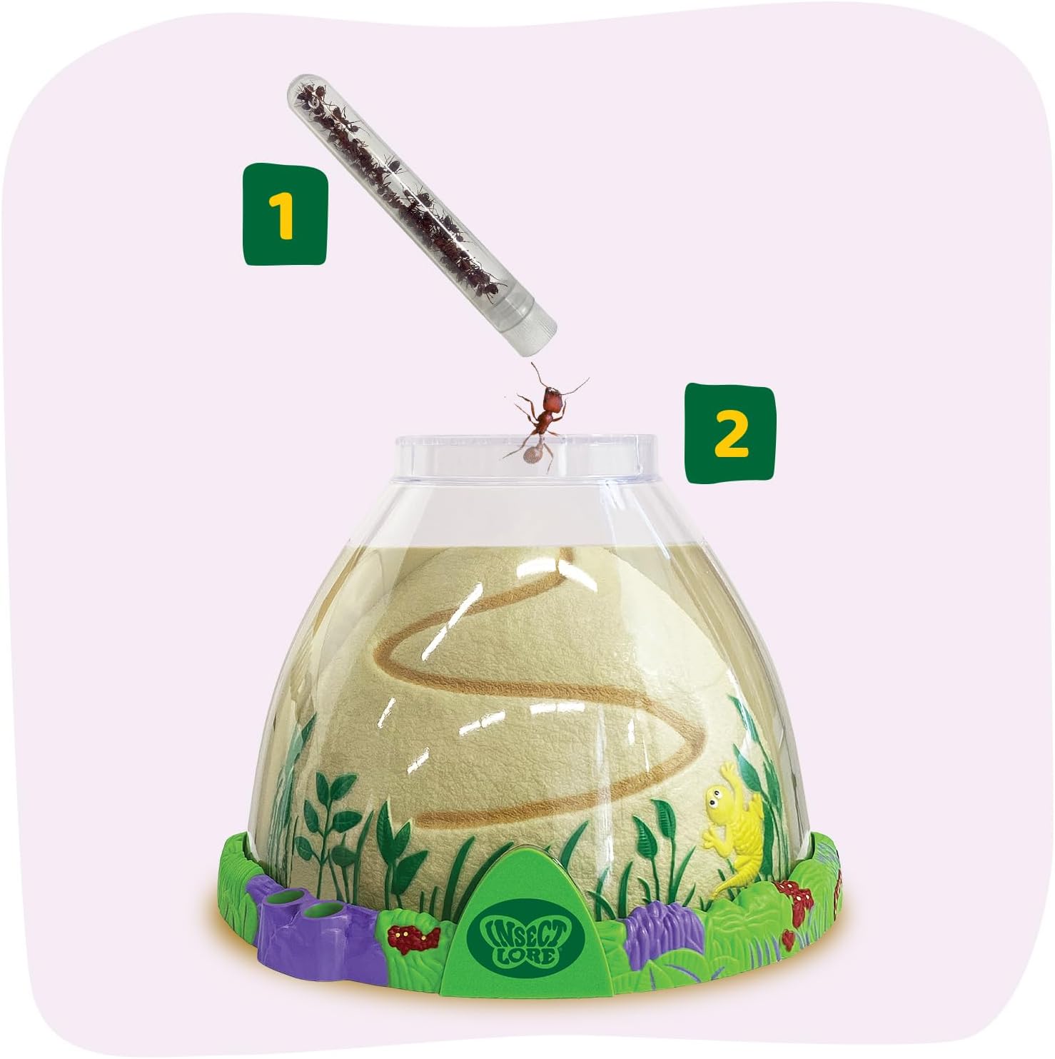 Ant Hill Habitat with Live Ant Voucher — STEM Science Kit (Ages 5+)